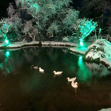 Dipla Sto Potami Hotel Chani Terevou Luaran gambar