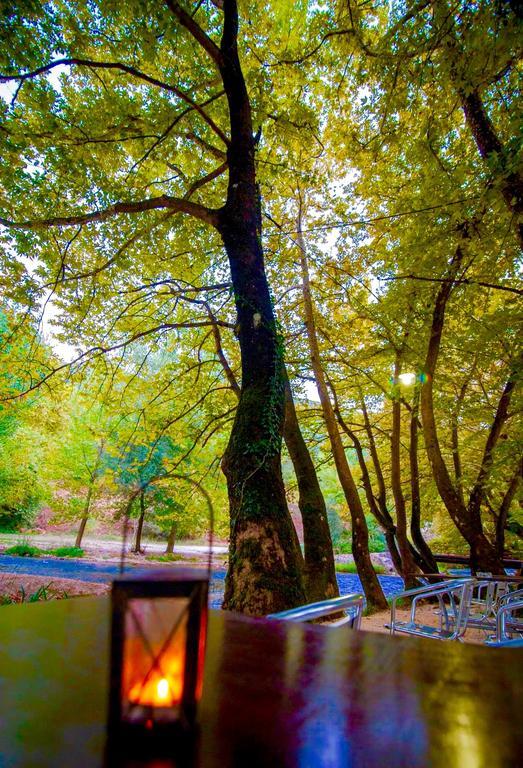 Dipla Sto Potami Hotel Chani Terevou Luaran gambar